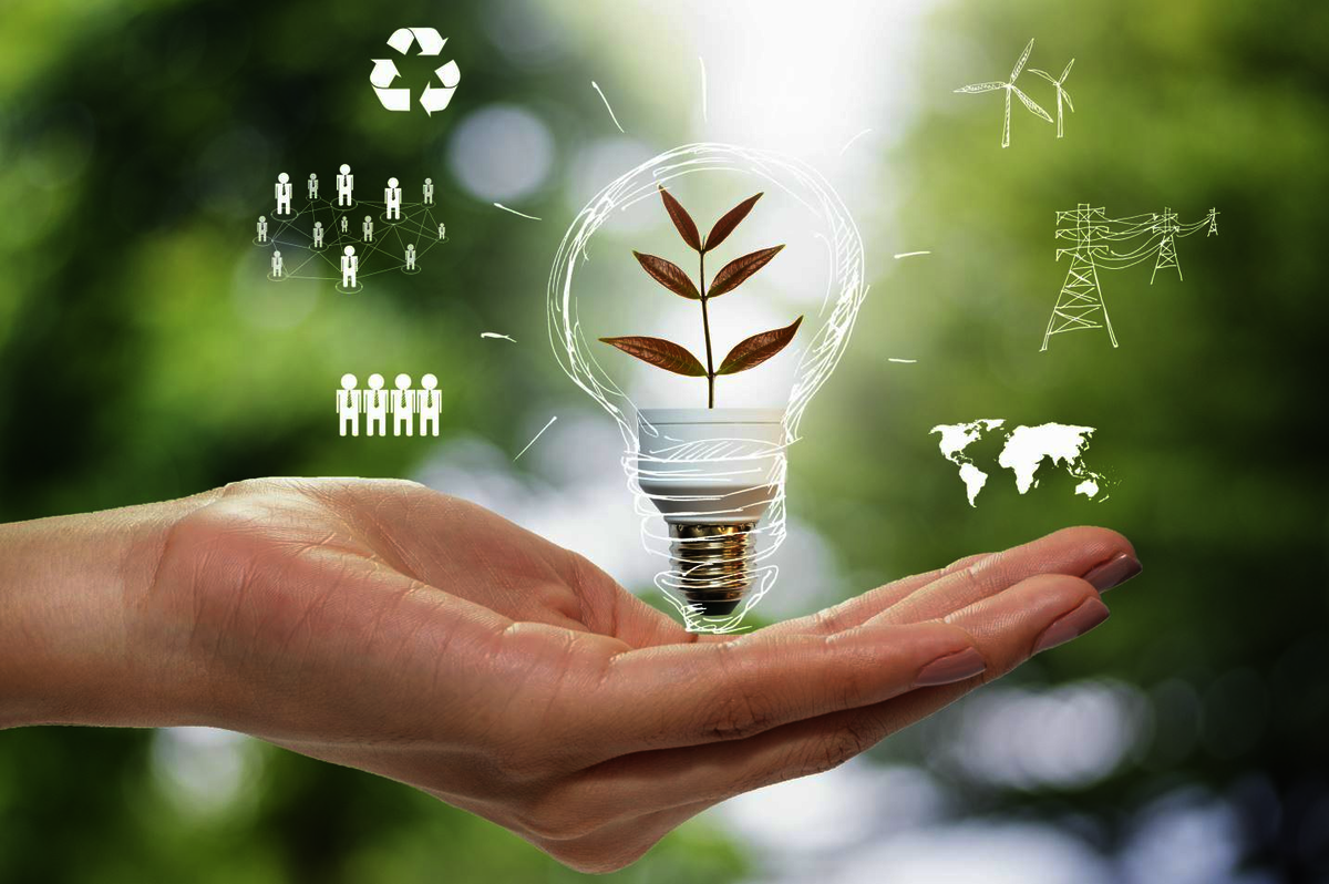   Environment & Quality